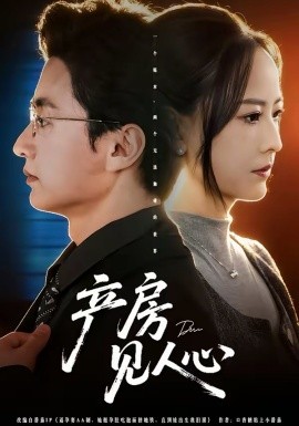 南来北往